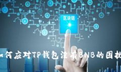如何应对TP钱包没有BNB的困扰？