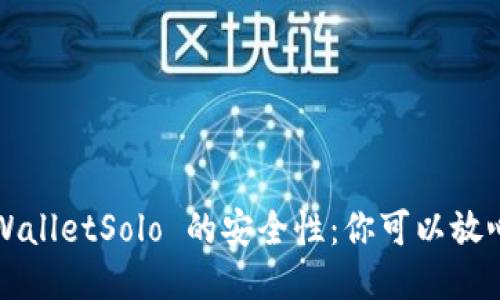 探究 TPWalletSolo 的安全性：你可以放心使用吗？