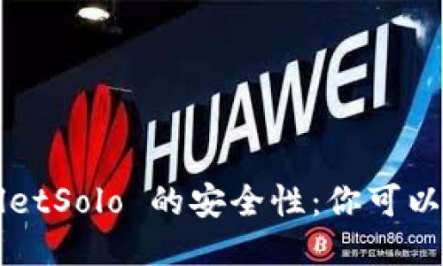 探究 TPWalletSolo 的安全性：你可以放心使用吗？
