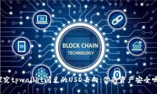 探究tpwallet闪兑的USD去向：你的资产安全吗？