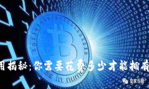 以太坊钱包的费用揭秘：你需要花费多少才能拥有安全的数字资产？