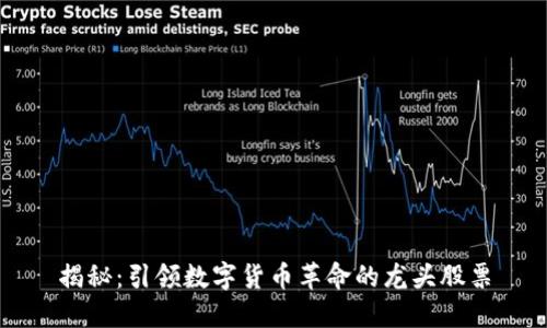 揭秘：引领数字货币革命的龙头股票
