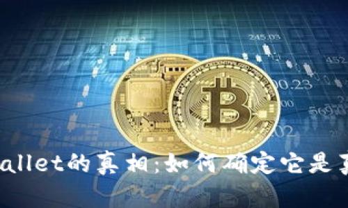揭开TPWallet的真相：如何确定它是真还是假？