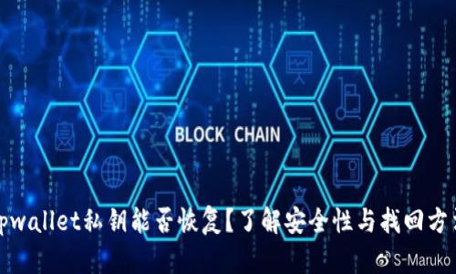 tpwallet私钥能否恢复？了解安全性与找回方法
