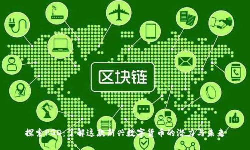 探索PGD：了解这款新兴数字货币的潜力与未来