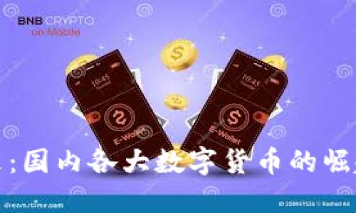 探索未来：国内各大数字货币的崛起与发展