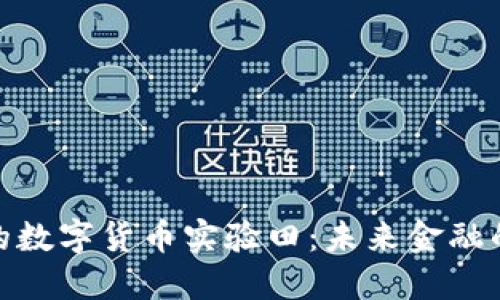 探索中国的数字货币实验田：未来金融的创新之路