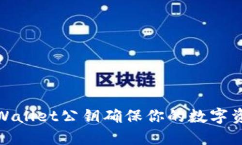 使用TPWallet公钥确保你的数字资产安全