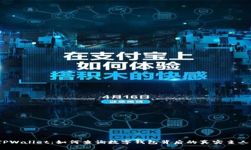 TPWallet：如何查询数字钱包背后的真实主人？