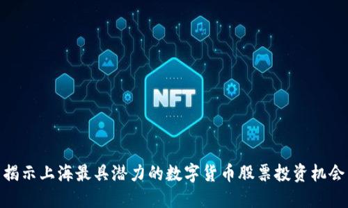 揭示上海最具潜力的数字货币股票投资机会