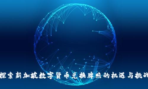 探索新加坡数字货币兑换牌照的机遇与挑战