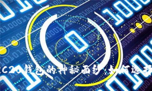 揭开以太坊钱包及ERC20钱包的神秘面纱：如何选择最适合你的数字钱包