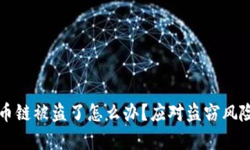 tpwallet火币链被盗了怎么办？应对盗窃风险的实用指南