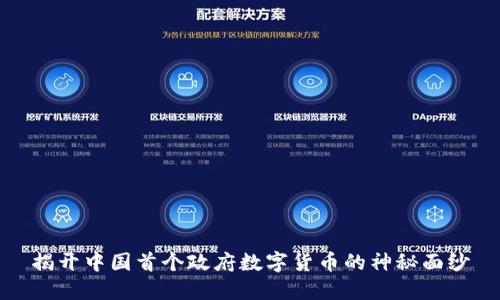 揭开中国首个政府数字货币的神秘面纱