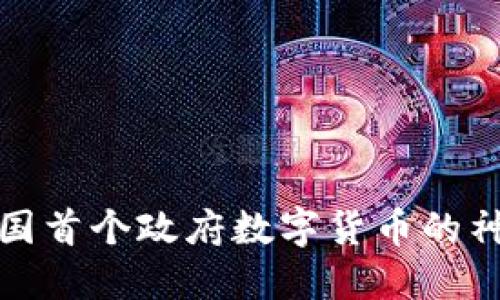 揭开中国首个政府数字货币的神秘面纱