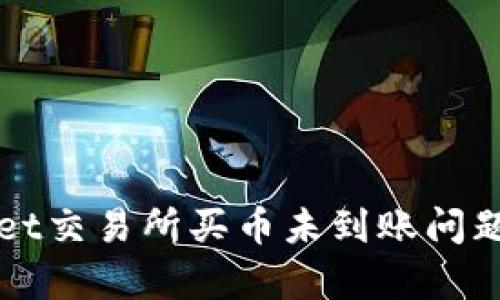 解决tpwallet交易所买币未到账问题的终极指南