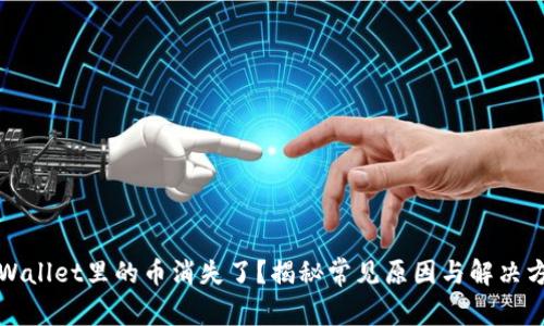 TPWallet里的币消失了？揭秘常见原因与解决方法