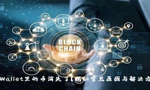 TPWallet里的币消失了？揭秘常见原因与解决方法