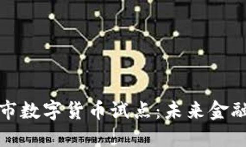探索新沂市数字货币试点：未来金融的领航者
