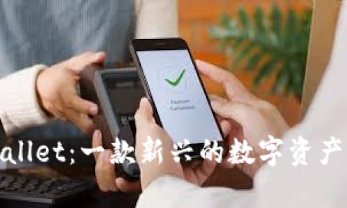 揭秘tpwallet：一款新兴的数字资产管理工具