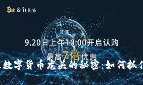 揭开4连板数字货币龙头的秘密：如何抓住财富机遇