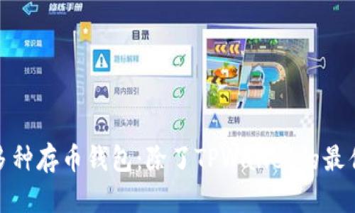 探索多种存币钱包：除了TPWallet的最佳选择