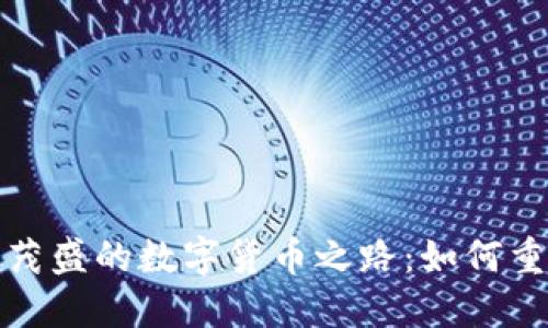 探索温州张茂盛的数字货币之路：如何重塑金融未来