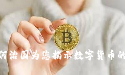 “掌握未来：何治国为您揭示数字货币的潜力与挑战