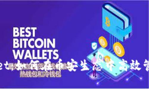 探索TPWallet：如何在币安生态中高效管理薄饼资源
