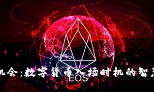 把握机会：数字货币入场时机的智慧指南
