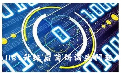 解决TPWallet升级后薄饼消失问题的全面指南