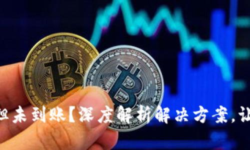 TPWallet转账成功但未到账？深度解析解决方案，让你的资金安全无忧！