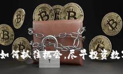 黎巴嫩如何抓住机会，尽早投资数字货币？