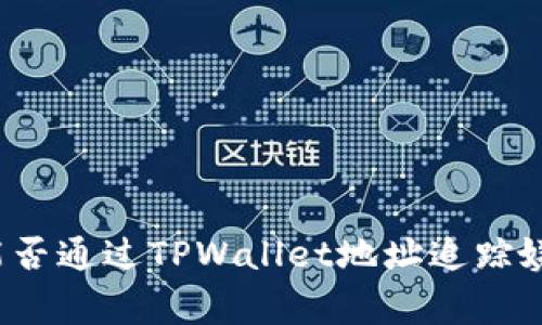 警察能否通过TPWallet地址追踪嫌疑人？