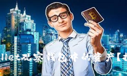 如何轻松转换TPWallet观察钱包中的资产？探索实用技巧与方法