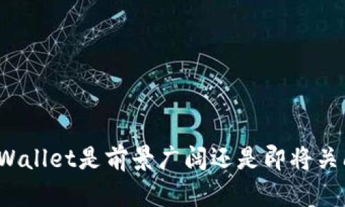 TPWallet是前景广阔还是即将关闭？