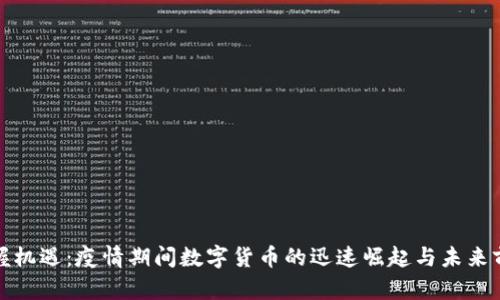 把握机遇：疫情期间数字货币的迅速崛起与未来前景