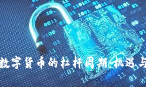 深入解析数字货币的杠杆周期：机遇与风险并存