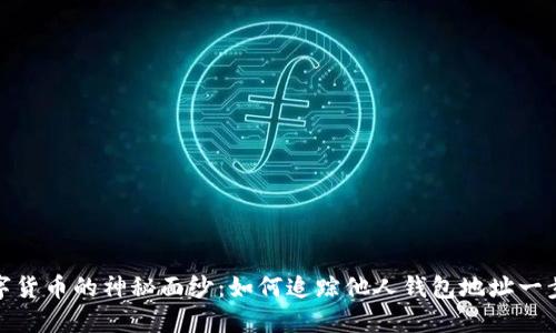 揭开数字货币的神秘面纱：如何追踪他人钱包地址一步步揭秘