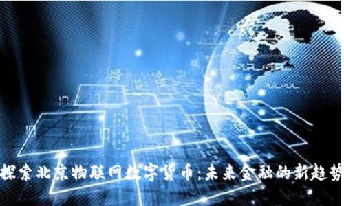 探索北京物联网数字货币：未来金融的新趋势