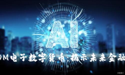掌握EDM电子数字货币：揭示未来金融的秘密