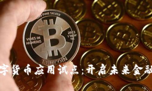 探索数字货币应用试点：开启未来金融新篇章