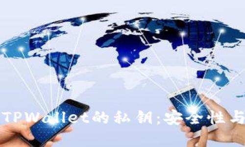 深入了解TPWallet的私钥：安全性与使用指南