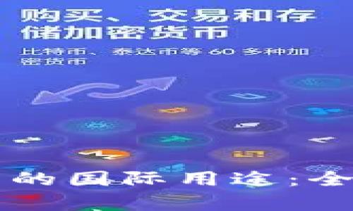 掌握数字货币的国际用途：全面解析与分类