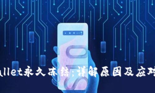 TPWallet永久冻结：详解原因及应对策略