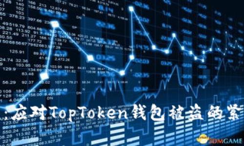 保护你的数字资产：应对TopToken钱包被盗的紧急措施和预防策略