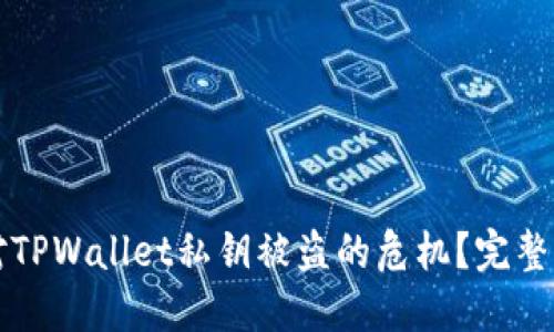 如何应对TPWallet私钥被盗的危机？完整应对指南