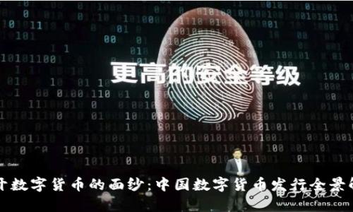 揭开数字货币的面纱：中国数字货币发行全景解析