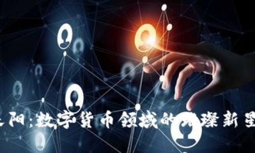 天阳：数字货币领域的璀璨新星?