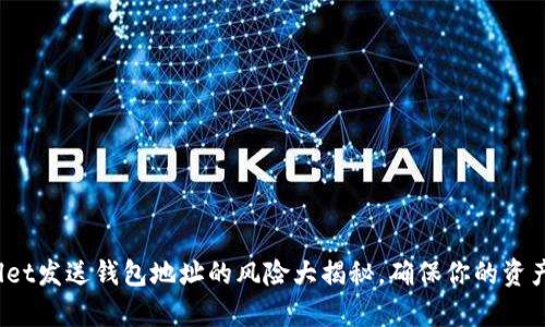 tpwallet发送钱包地址的风险大揭秘，确保你的资产安全！
